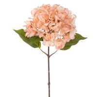 Vickerman 20" Coffee Hydrangea Stem (2 Pack)
