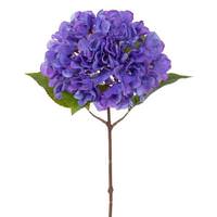 Vickerman 20" Coffee Hydrangea Stem (2 Pack)
