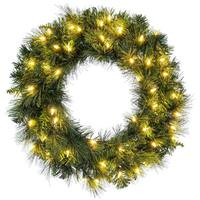Vickerman 24" Brighton Pin Dura-Lit 50 Light Artificial Christmas Wreath