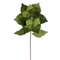 Vickerman 20" Lime Classic Velvet Poinsettia Artificial Flower Stem (4 Pack)