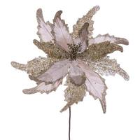 Vickerman 20" Champagne Grand Velvet Poinsettia Artificial Flower Stem (2 Pack)