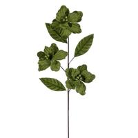 Vickerman 28" Lime Velvet Razor Amaryllis Artificial Flower Stem (3 Pack)