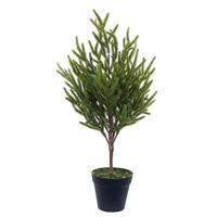 Vickerman 23.5" Potted Green Norfolk Pine Artificial Tree