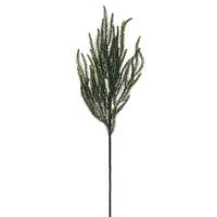 Vickerman 24.5" Green Norfolk Pine Artificial Christmas Spray (6 Pack)