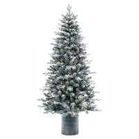 Vickerman 6' x 39" Frosted Potted Spruce 200 Light Warm White 