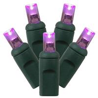 Vickerman 70 Light 23' Green Wire Purple LED Christmas Light Set