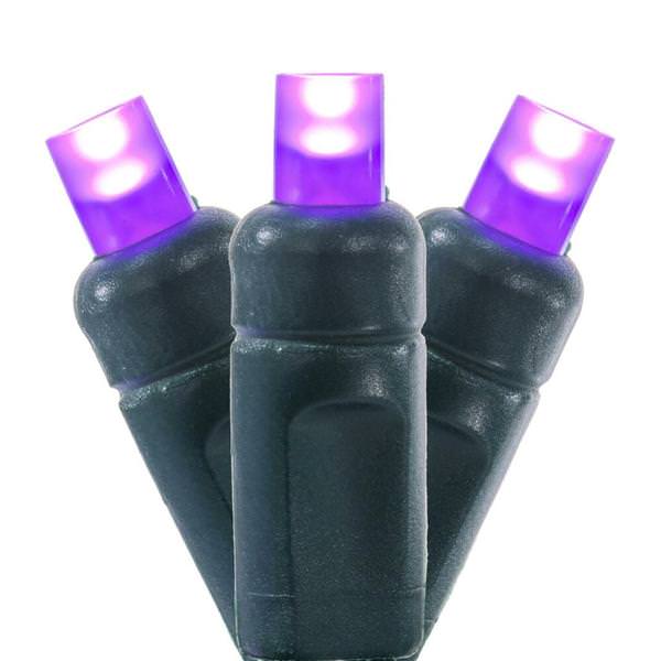 50 Light 25' Green Wire Purple Frosted LED Christmas Light Set