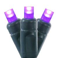 Vickerman 50 Light 25' Green Wire Purple Frosted LED Christmas Light Set