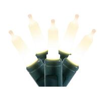 Vickerman 50 Light 25' Green Wire Warm White Italian LED Christmas Light String Set 