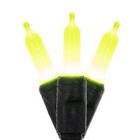 Vickerman 50 Light 16' T5 Black Wire Lime Christmas Light String Set