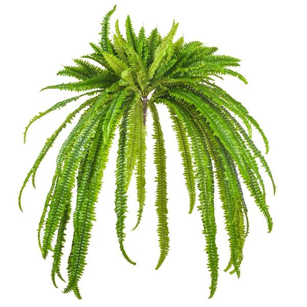 56" Green Boston Fern UV Resistant Artificial Plant