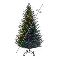 Vickerman 9' x 67" Eagle Fraser 1500 LED Light Prelit Artificial Christmas Tree