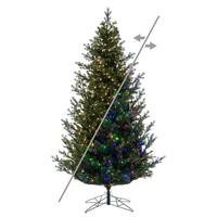 Vickerman 12' x 85" Eagle Fraser 2850 LED Light Pre-Lit Artificial Christmas Tree