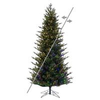 Vickerman 12' x 72" Slim Welch Fraser 3350 LED Light Pre-Lit Artificial Christmas Tree