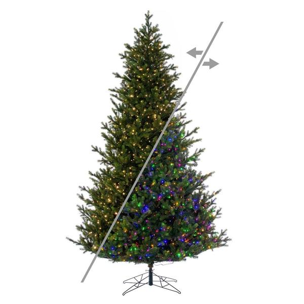 8.5' x 64" Welch Fraser 1600 LED Light Prelit Artificial Christmas Tree