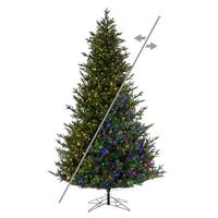 Vickerman 8.5' x 64" Welch Fraser 1600 LED Light Prelit Artificial Christmas Tree