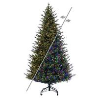 Vickerman 10' x 73" Welch Fraser 2750 LED Light Pre-Lit Artificial Christmas Tree