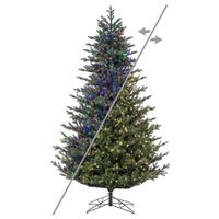 Vickerman 12' x 81" Welch Fraser 4100 LED Light Pre-Lit Artificial Christmas Tree