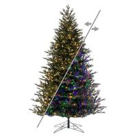 Vickerman 12' x 66" Washington Fraser 2600 LED Light Pre-Lit Artificial Christmas Tree