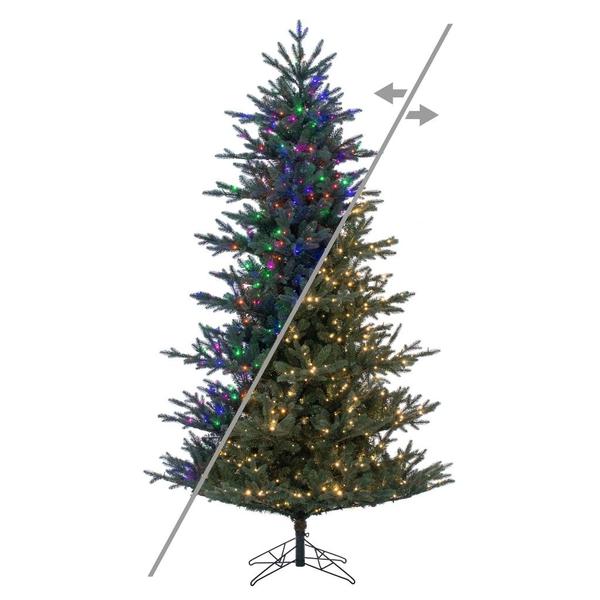 6.5' x 51" Colorado Blue Fir 600 LED Light Pre-Lit Artificial Christmas