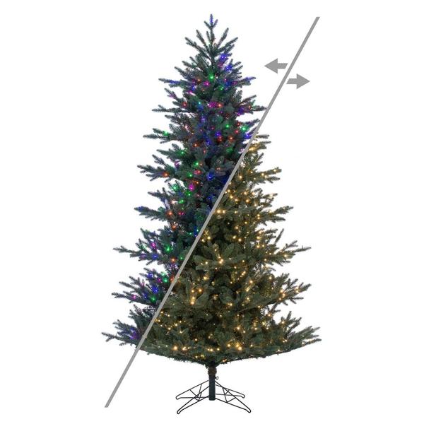 7.5' x 55" Colorado Blue Fir 850 LED Light Prelit Artificial Christmas Tree