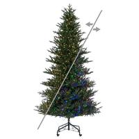 Vickerman 12' x 73" Colorado Blue Fir 2100 LED Light Prelit Artificial Christmas Tree