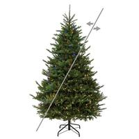 Vickerman 7.5' x 62" Nordmann Fir 900 LED Light Prelit Artificial Christmas Tree