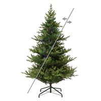 Vickerman 6.5' x 60" Norwegian Spruce 600 LED Light Unlit Artificial Christmas Tree