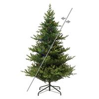 Vickerman 7.5' x 67" Norwegian Spruce 850 LED Light Prelit Artificial Christmas Tree