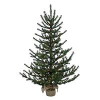Vickerman 5' x 43" Tabiona Pine 300 LED Lights