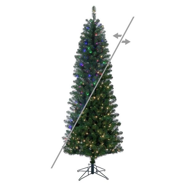 5.5' x 28 Salem Pencil Pine 200 LED Light
