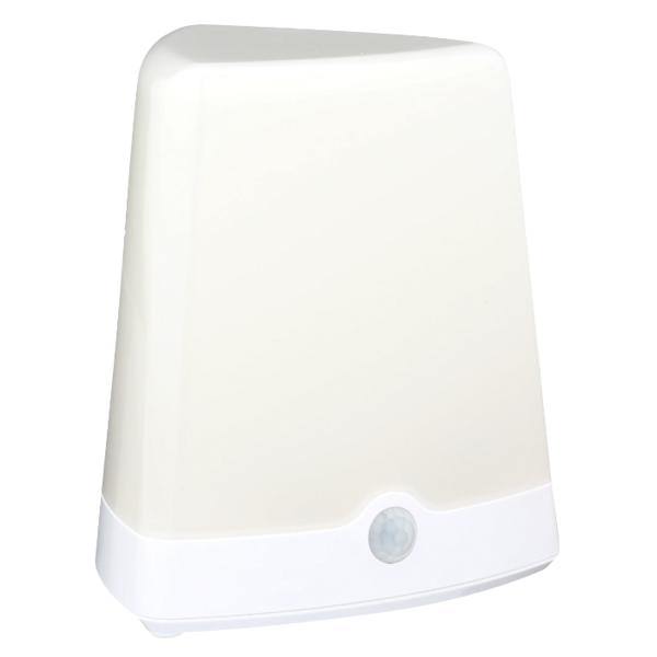Indoor/Outdoor Motion Sensor Color-Changing Portable LED Light