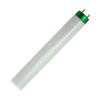 Philips 1' 15.5 watt 55 volt T8 Medium Bi-Pin Base 4100K Cool White Fluorescent Light Bulb