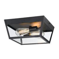 Westinghouse 12" 2 Light  Textured Black Clear Glass Outdoor Light Fixture