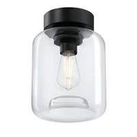 View 8" 1 Light Matte Black Clear Glass Semi-Flush Light Fixture