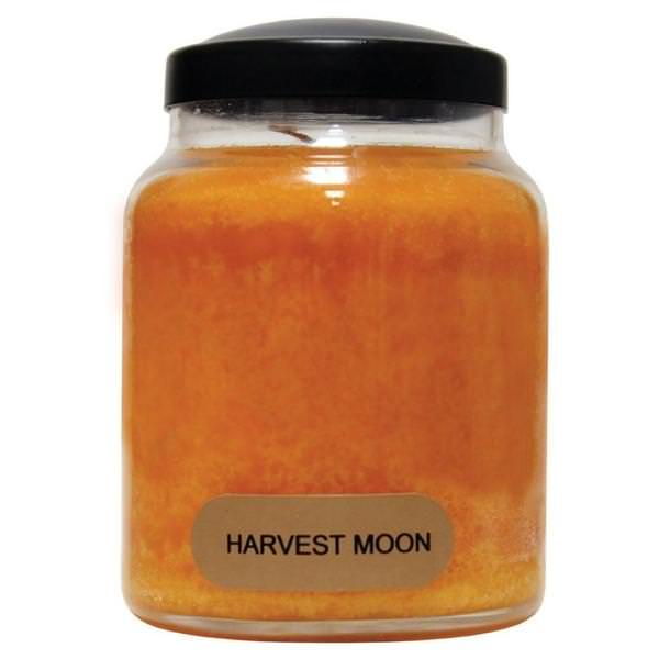 A Cheerful Giver 13131