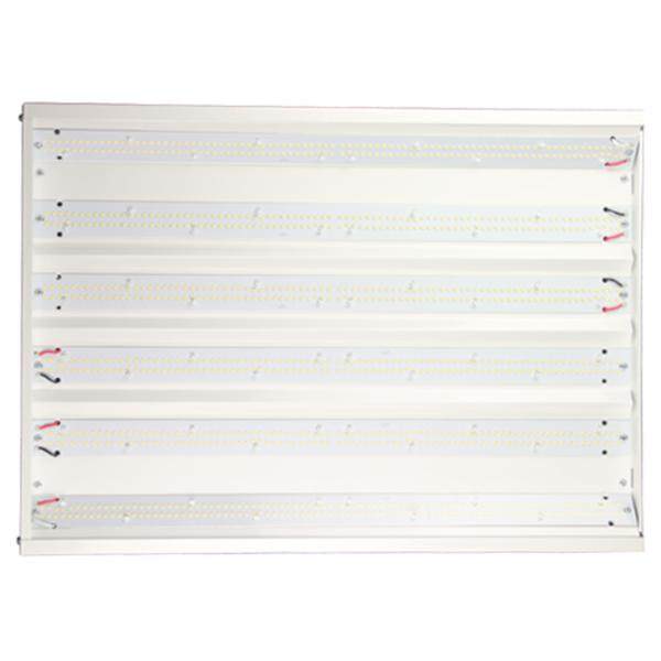 Quality Light Source 02013