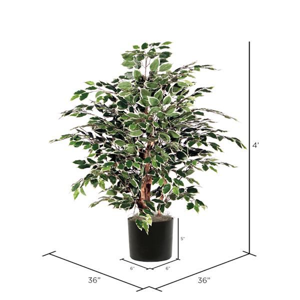 Vickerman 319994 Ficus Home / Office Tree