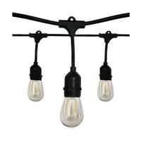 Satco 24' 12 Light 12 watt 120 volt Black 2700K LED Light String