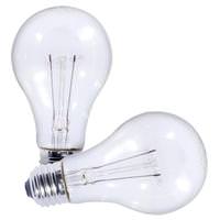Bulbrite 25 watt 130 volt A19 Medium Screw Base 2700K Warm White (2 pack)