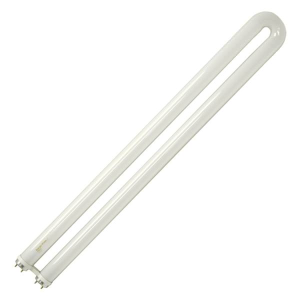 31 watt 22.5" T8 Bi-Pin Base 4100K Cool White