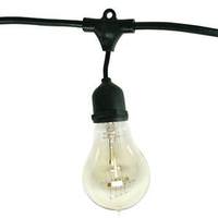 Bulbrite 15 Light 48' Black (Medium Screw Base) Light String with 15 Nostalgic Bulbs