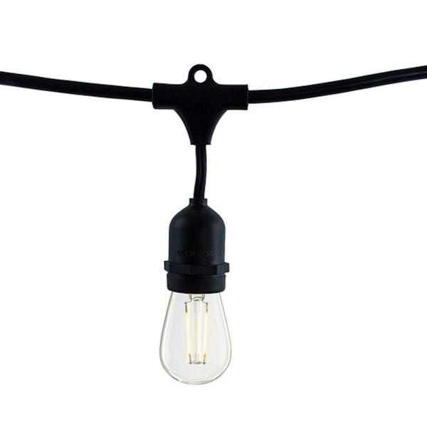 2 watt 10 Light 14' Black 2700K Medium Screw Base LED Light String with 10 S14 Bulbs