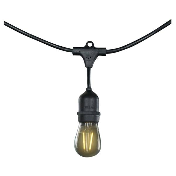 15 Light 48' Black Wire Medium Screw Base Dimmable LED Light String
