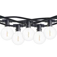 Bulbrite 10 Light 14' Black 2700K Warm White Candelabra Screw Base Light String