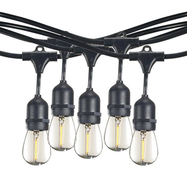 10 Light 14' Black (Medium Screw Base) Light String with 10 S14 LED Bulbs