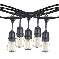 Bulbrite 10 Light 14' Black (Medium Screw Base) Light String with 10 S14 LED Bulbs