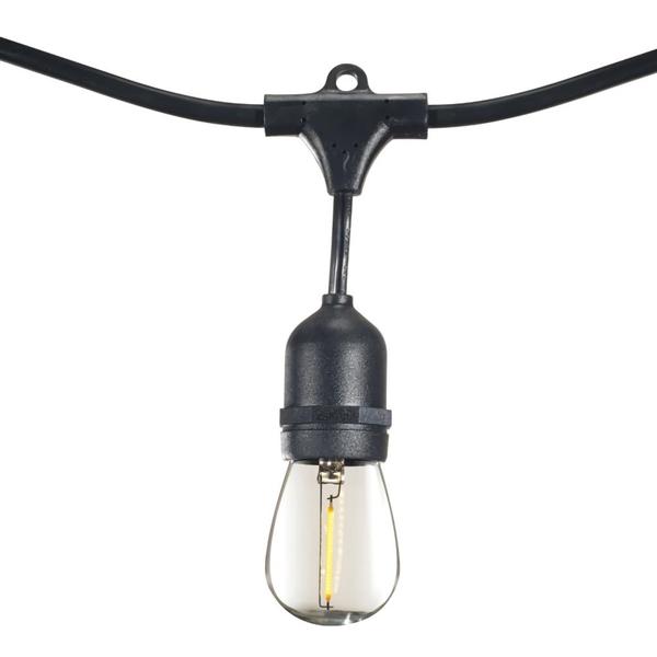 10 Light 14' Black (Medium Screw Base) Light String with 10 S14 LED Bulbs