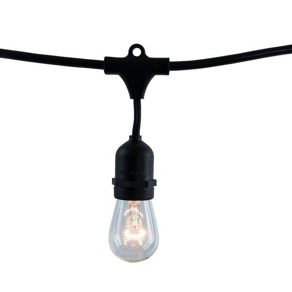 12 Light 30' Black (Medium Screw Base) Light String with 12 S14 Bulbs