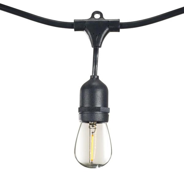 12 Light 30' Black (Medium Screw Base) Light String with 12 S14 LED Bulbs
